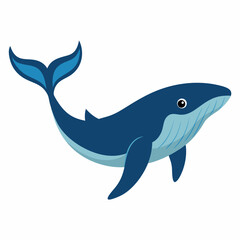 Humpback blue whale vector illustration