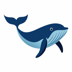 Humpback blue whale vector illustration