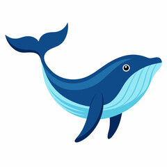 Humpback blue whale vector illustration