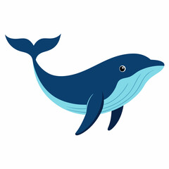 Humpback blue whale vector illustration