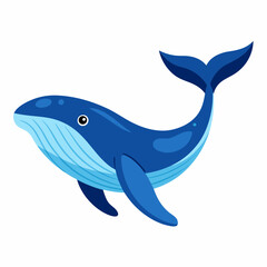 Humpback blue whale vector illustration