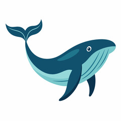 Humpback blue whale vector illustration