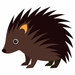 Porcupine vector illustration on white background