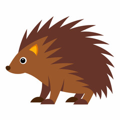 Porcupine vector illustration on white background