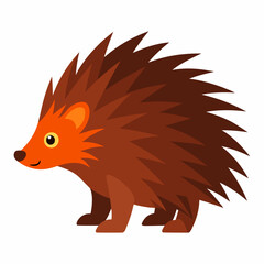 Porcupine vector illustration on white background