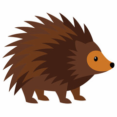 Porcupine vector illustration on white background