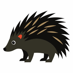 Porcupine vector illustration on white background