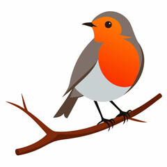 Robin on tree wood white background