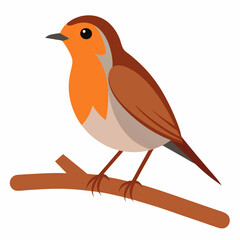 Robin on tree wood white background