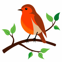 Robin on tree wood white background