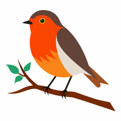 Robin on tree wood white background