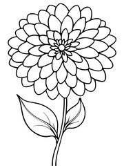 Line art of Zinnia flower 