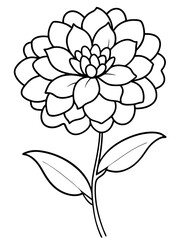 Line art of Zinnia flower 