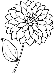 Line art of Zinnia flower 