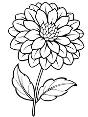 Line art of Zinnia flower 