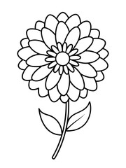 Line art of Zinnia flower 