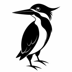 Kingfisher Black silhouette