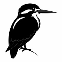 Kingfisher Black silhouette