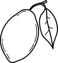 Lemon illustration outline vector