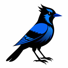 Black Blue Jay silhouette
