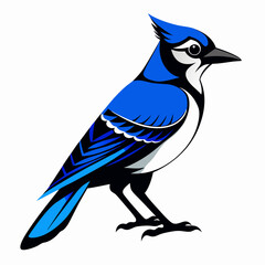 Black Blue Jay silhouette