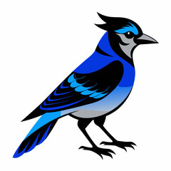 Black Blue Jay silhouette