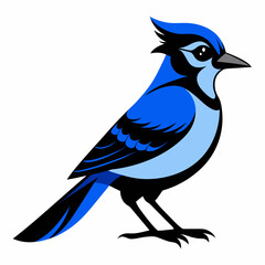 Black Blue Jay silhouette