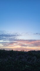 Summer sunset