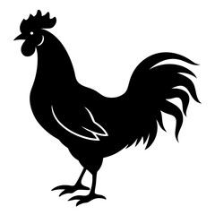 Rooster isolated  on silhouette vector