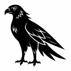 Fototapeta premium Harrier Black silhouette