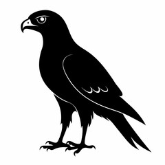 Harrier Black silhouette