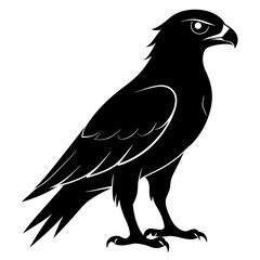 Harrier Black silhouette