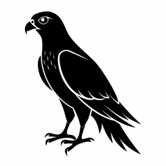 Harrier Black silhouette