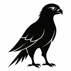 Harrier Black silhouette