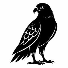 Harrier Black silhouette