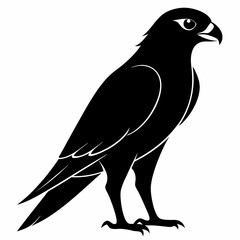 Harrier Black silhouette