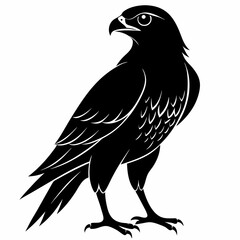 Harrier Black silhouette