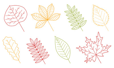 A set of autumn leaves