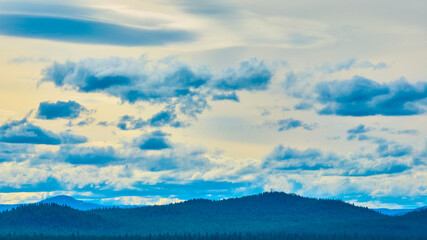 Aerial View of Dense Coniferous Forest Under Dramatic Sky in Oregon
