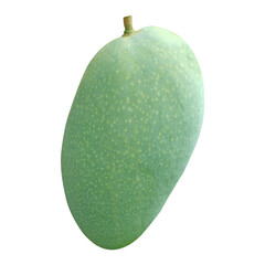 Mangifera indica Fruit Image