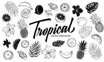 Tropical elements vector set, hand drawn collection tropical flowers, fruits and leaves. Black and white icons, line stickers, silhouette