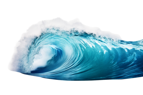 Blue ocean wave curling with white foam Isolated on white background