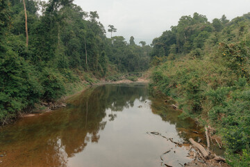 Fototapeta premium Natural river in the forest of Khao Yai national park in Thailand.