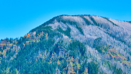 Aerial Fly Over Cascade Locks Mountain Forest