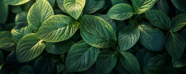 Green leaves texture with veins visible, 4K hyperrealistic photo