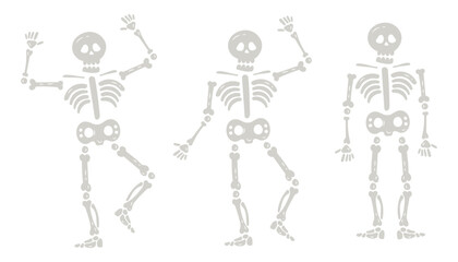 Halloween skeletons in various poses. Creepy Halloween skeleton characters isolated set of vector illustrations. Skeleton mascots hand drawn style