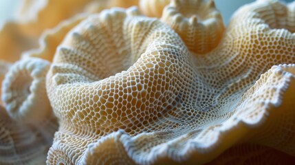 Coral texture study, rough and intricate, formed by decades of polyp accumulation, essential for reef ecosystems