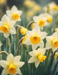 in watercolour garden mythology daffodil yellow flower spring myth floral