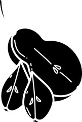 Pear illustration vector
