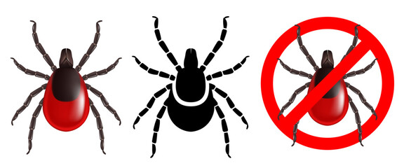 Tick ​​3D. Ticks set. Deer tick. Vector clipart isolated on white background.